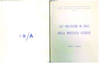Consigli di valle montagna cuneese statuti 1969 (MON).pdf.jpg